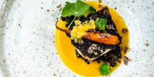 Kuchnia wegańska dla początkujących: Przepisy na każdy dzień